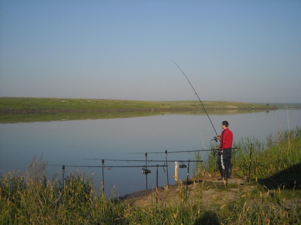 Party Cup - Hobaia 2010 - partycuphobaia20105.jpg